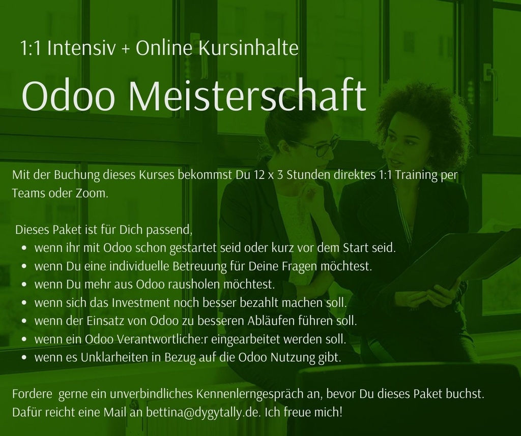 1:1 Odoo Intensiv 12 x 3 Stunden